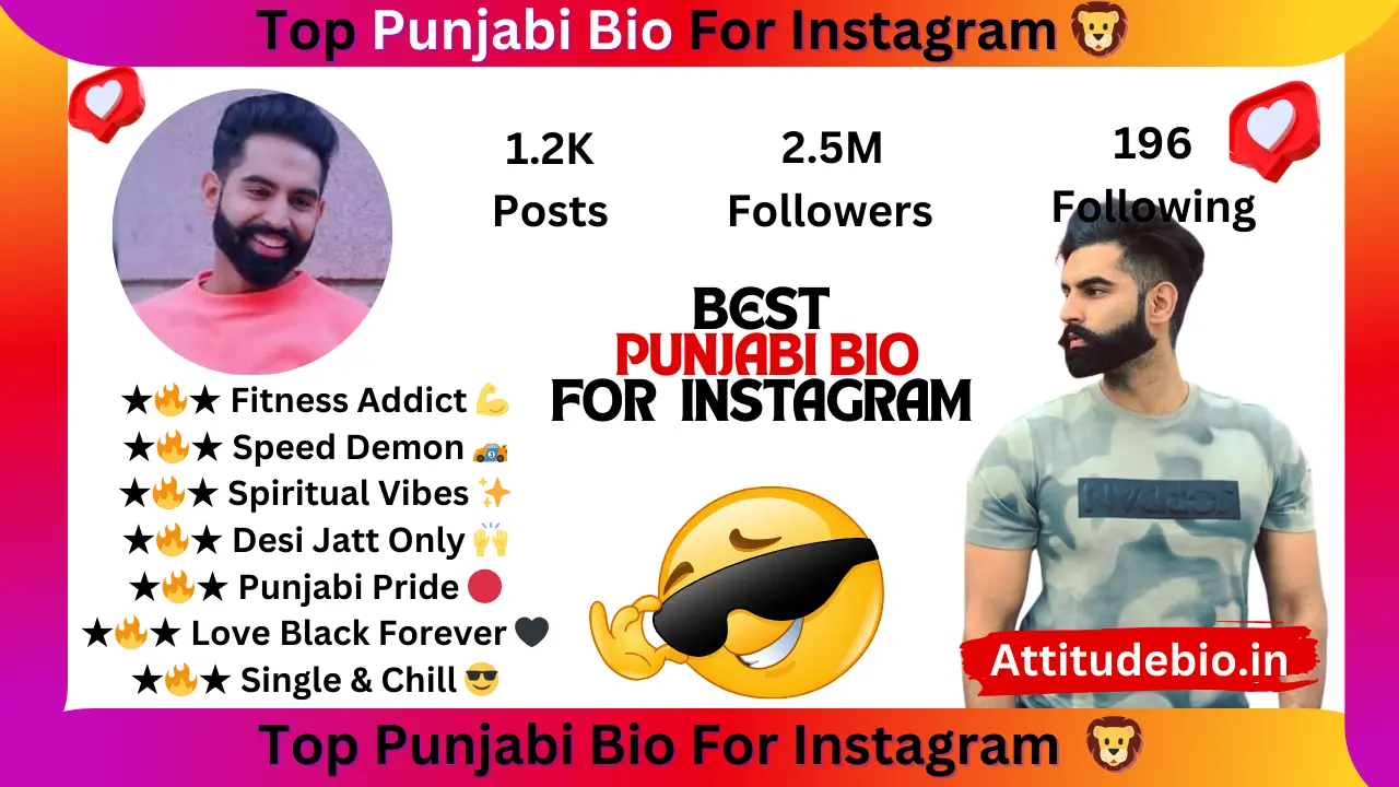 Instagram Bio in Punjabi