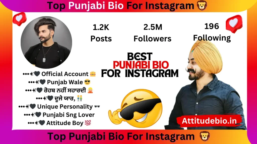 Instagram Bio In Punjabi For Boys